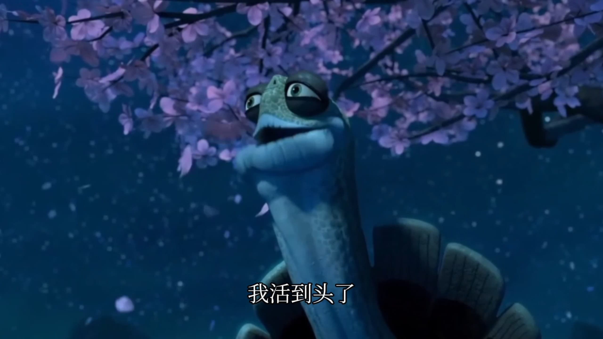 相关图片 7